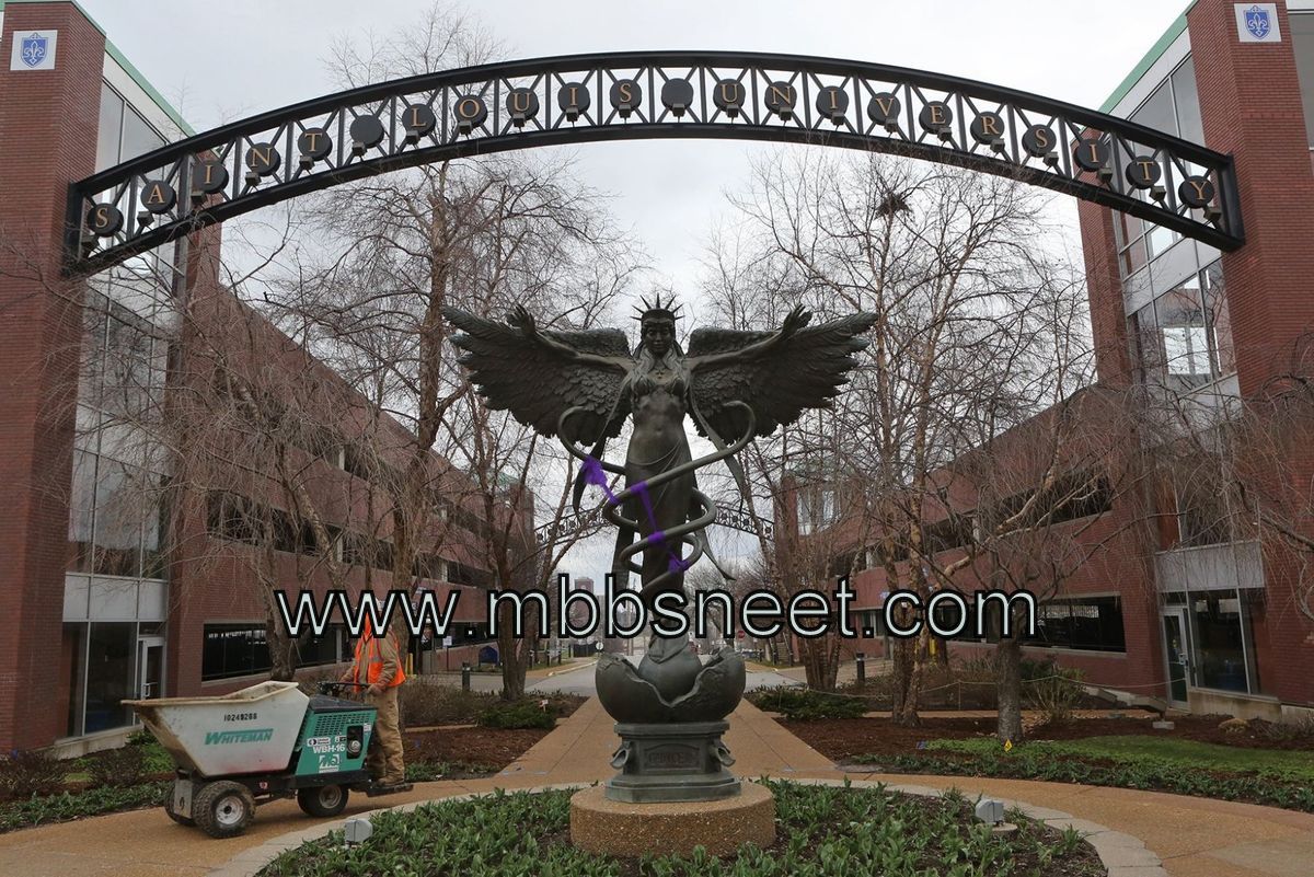St Louis University School Of Medicine 1 MBBSNEET